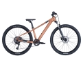 VTT semi rigide Enfant ROXTER 600 Marron Métallisé - Image 1/2